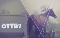 Register your OTTB in Florida’s Thoroughbred Transformation Expo