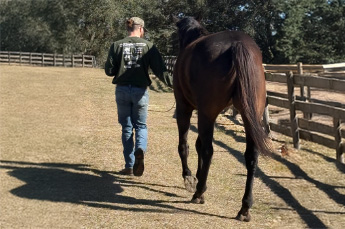 Equine-assisted Learning program Equine-assisted Learning program.