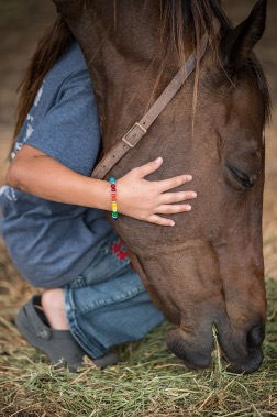 HorseShare Program Photo.
