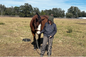 Pasture Pros Pasture Pros
